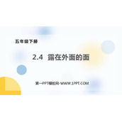 《露在外面的面》长方体(一)PPT免费下载