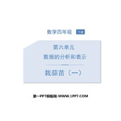 《栽蒜苗(一)》数据的表示和分析PPT教学课件