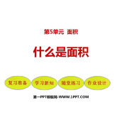 《什么是面积》面积PPT免费下载