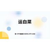 《运白菜》加与减PPT教学课件