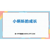 《小蝌蚪的成长》加与减PPT免费下载