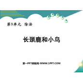 《长颈鹿与小鸟》除法PPT免费下载