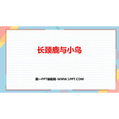 《长颈鹿与小鸟》除法PPT免费课件