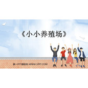 《小小养殖场》生活中的数PPT精品课件