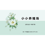 《小小养殖场》生活中的数PPT免费下载