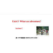 《What an adventure!》SectionC PPT课件
