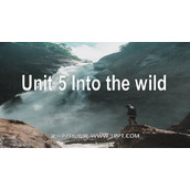 《Into the wild》PPT下载