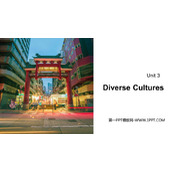 《Diverse Cultures》PPT课件下载