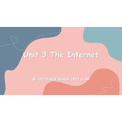 《The Internet》PPT下载
