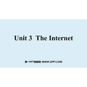 《The Internet》PPT课件