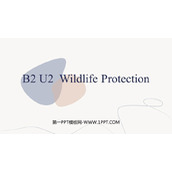 《Wildlife Protection》PPT教学课件