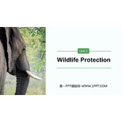 《Wildlife Protection》PPT下载