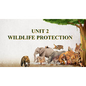 《Wildlife Protection》PPT课件
