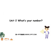 《What's your number?》PPT优秀课件