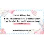 《I became so bored with their orders that I wished they would leave me alone》Home alone PPT优质课件