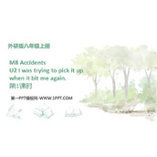 《I was trying to pick it up when it bite me again》Accidents PPT课件下载(第1课时)