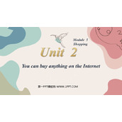 《You can buy everything on the Internet》Shopping PPT优秀课件