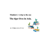 《The tiger lives in Asia》PPT免费课件下载