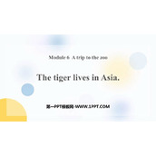 《The tiger lives in Asia》PPT教学课件下载