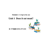 《Does it eat meat?》PPT优质课件