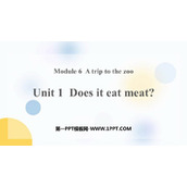 《Does it eat meat?》PPT精品课件