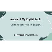 《What's this in English?》PPT优质课件