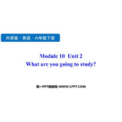 《What are you going to study?》PPT优质课件