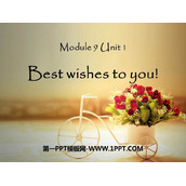 《Best Wishes to you》PPT优质课件