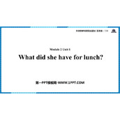 《What did she have for lunch?》PPT课件下载