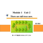 《There are tall trees now》PPT课件下载(第2课时)