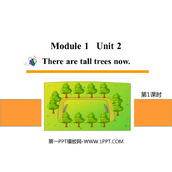 《There are tall trees now》PPT课件下载(第1课时)