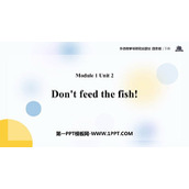 《Don't feed the fish》PPT课件下载