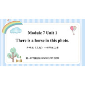 《There is a horse in this photo》PPT课件下载