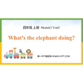 《What's the elephant doing?》PPT免费课件