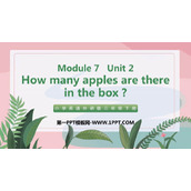 《How many apples are there in the box?》PPT免费课件