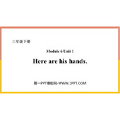 《Here are his hands》PPT免费课件