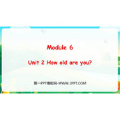 《How old are you?》PPT优质课件下载