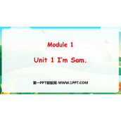 《I'm Sam》PPT优秀课件