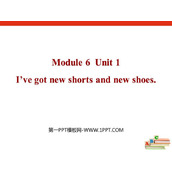 《I've got new shorts and new shoes》PPT免费课件
