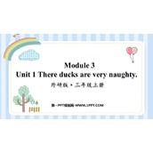 《These ducks are very naughty!》PPT课件下载