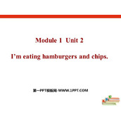 《I'm eating hamburgers and chips》PPT课件下载
