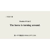 《The horse is turning around》PPT课件下载