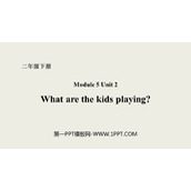 《What are the kids playing?》PPT课件下载