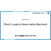 《There's a pair of shorts under that duck》PPT免费课件