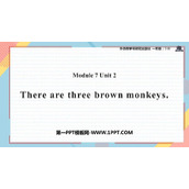 《There are three brown monkeys》PPT教学课件