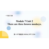 《There are three brown monkeys》PPT下载