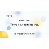《There is a cat in the tree》PPT课件下载
