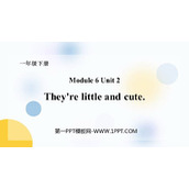 《They’re little and cute》PPT课件下载