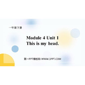 《This is my head》PPT课件下载