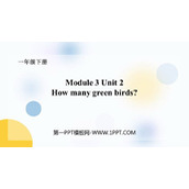 《How many green birds?》PPT课件下载
